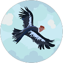 Open Minds profile picture