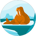 Patibandla Sudheer Kumar profile picture